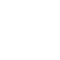 Planetary Reducer