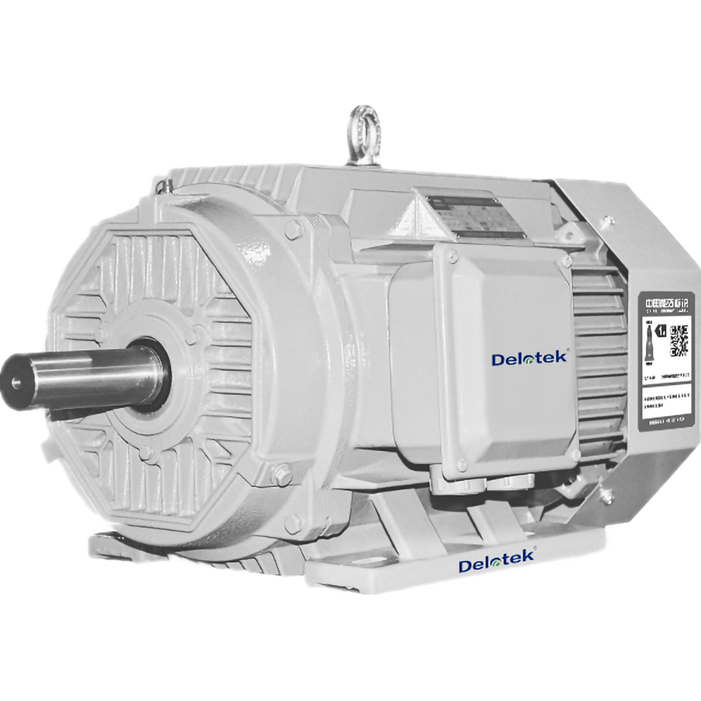 Low Voltage Motor
