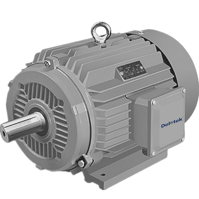Customized Motor