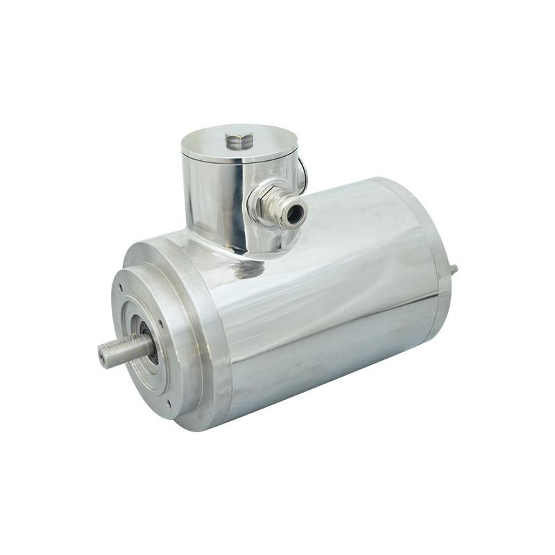 IEC Stainless Steel Motor