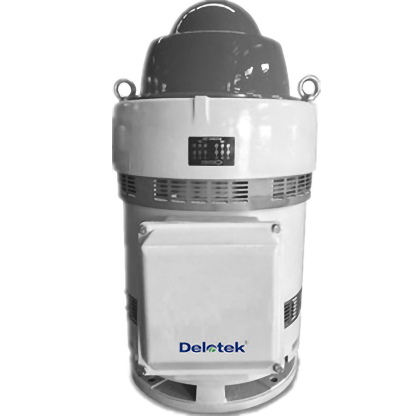 Vertical Hollow Shaft Pump Motor